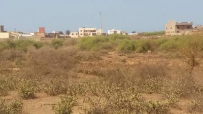 Terrain de 1000m2 a yène toubab dialaw 