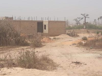 Terrain de 150m2 a diamniadio douguar 