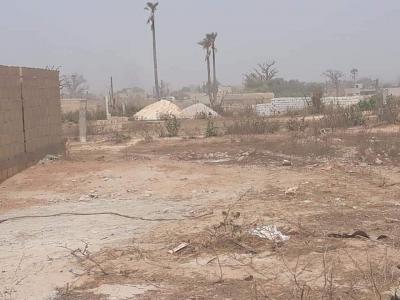 Terrain de 150m2 a diamniadio douguar 
