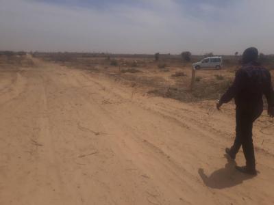 Terrain de 2 ha a toubab dialaw 