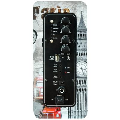 Enceinte Bluetooth nomad karaoke plus micro 