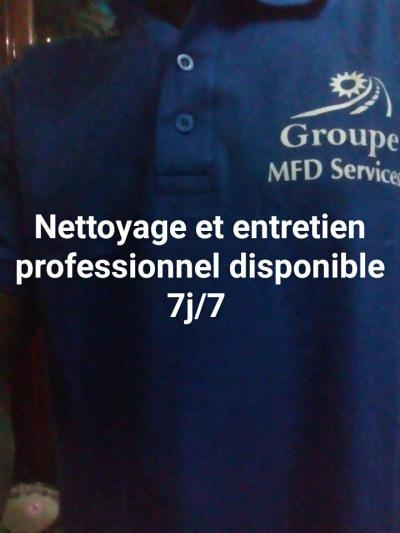 Nettoyage professionnel 