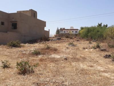 Terrain de 300m2 a toubab dialaw 