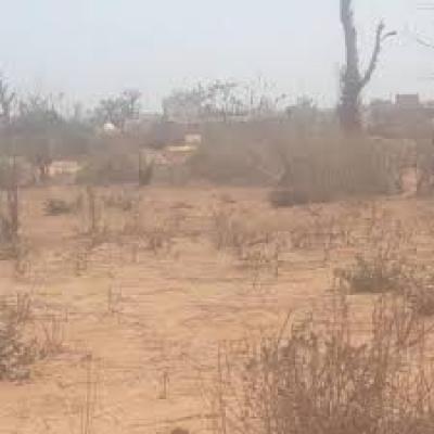 Terrain de 150m2 a diamniadio 
