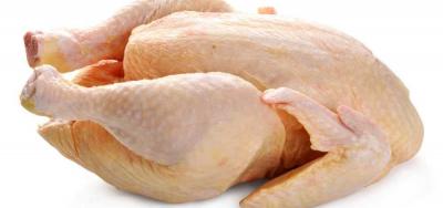 Vente de poulet de chair 