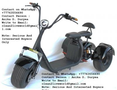 Brand New Harley Citycoco 3000w Electric Scooter 
