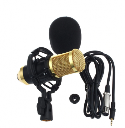 Micro Professionnel BM-800