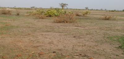 Terrain Agricole de 5,30 hectares à Nguéniéne
