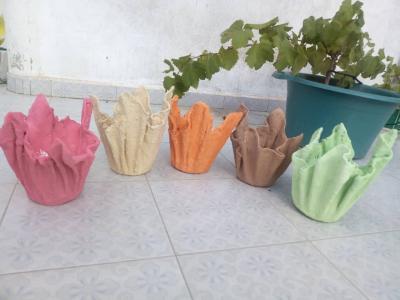Pots de fleurs artistiques et plantes