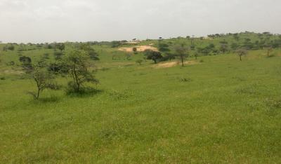 Terrain Agricole de 8,10 hectares à Kébémer