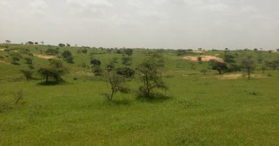 Terrain Agricole de 8,10 hectares à Kébémer