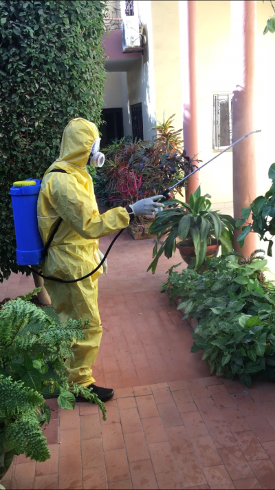 Insecticide 