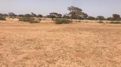 VENTE DE TERRAIN AGRICOLE