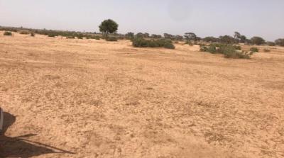 VENTE DE TERRAIN AGRICOLE