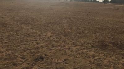 VENTE DE TERRAIN AGRICOLE