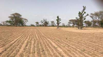 TERRAIN AGRICOLE 10 HA