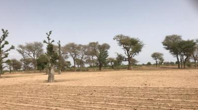 TERRAIN AGRICOLE 10 HA