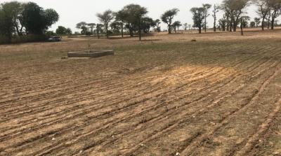 TERRAIN AGRICOLE 10 HA