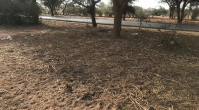 TERRAIN AGRICOLE 2.37 HA