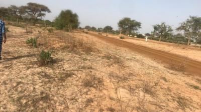 TERRAIN AGRICOLE 2.37 HA