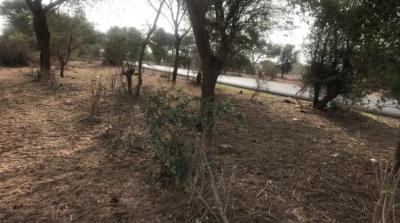 TERRAIN AGRICOLE 2.37 HA