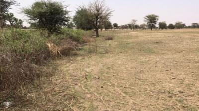TERRAIN AGRICOLE 3.3 HA
