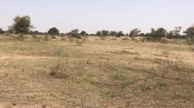 TERRAIN AGRICOLE 3.3 HA