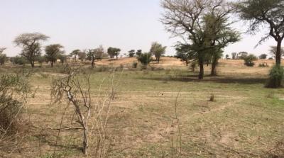 TERRAIN AGRICOLE 3.3 HA