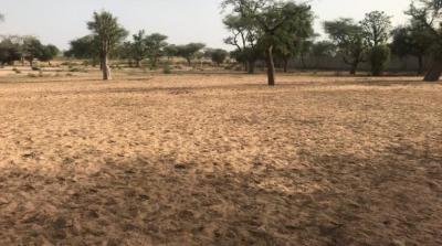 TERRAIN AGRICOLE 7.05HA