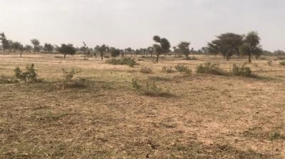 TERRAIN AGRICOLE 7.05HA
