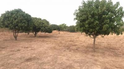 TERRAIN AGRICOLE BAIL 30HA 9500/M²