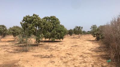 TERRAIN AGRICOLE BAIL 30HA 9500/M²