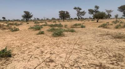 TERRAIN AGRICOLE 3021m²