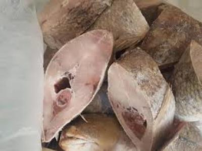 Vente de poisson