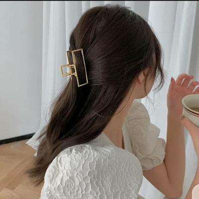 Pinces à cheveux 