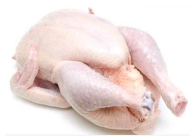 Poulets de chair