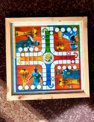 Ludo pro