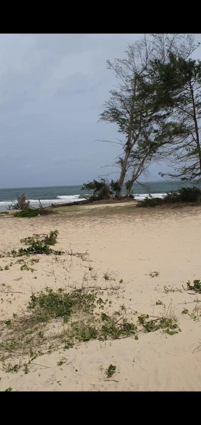 Terrains pieds dans l'eau 