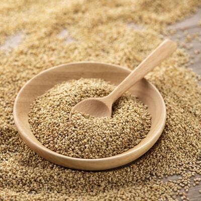 Graines de sesame dakar
