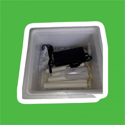Couveuse 12 Œufs Automatique Neuve Importée