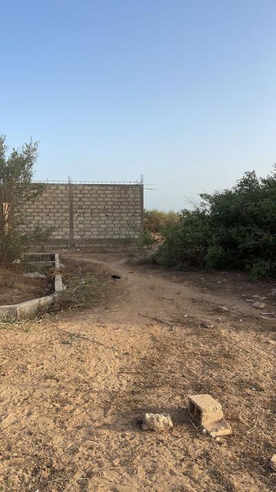 terrain de 300 metres carres a saly 