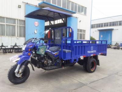 Tricycle 300cc
