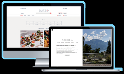 Conception site Web professionnel 