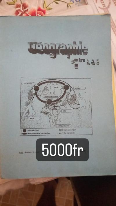 Histoire et Géographie 1ère L&S