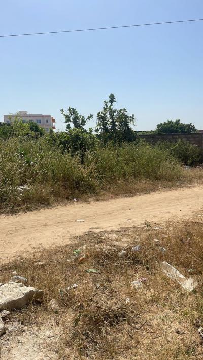 terrain de 500 metres carres a saly