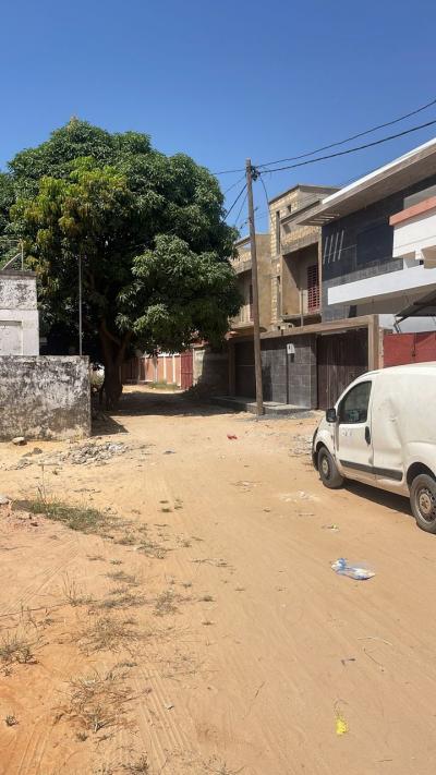 terrain de 500 metres carres a saly