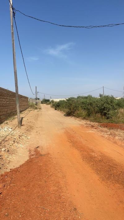 terrain de 400 metres carres a saly Diamantine