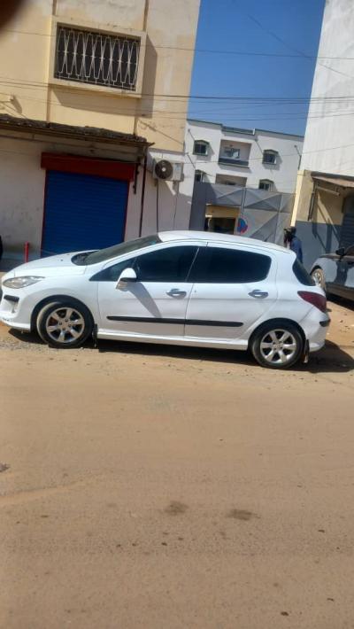 WANTER PEUGEOT 308 2012