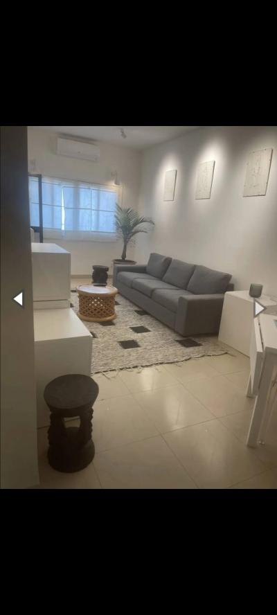 MERMOZ : Magnifique  Duplex F3 Meublé à Louer