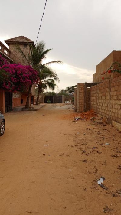terrain de 300 metres carres a mbour
